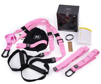 Resistance Bands Fitness Hanging Belt Exercise Resistance Hanging Training Belt Fitness Resistance Band Pull Rope supplier