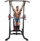 Power Tower With Push-Up, Pull-Up, Utility Bench And Workout Dip Station For Home Gym Strength Training supplier