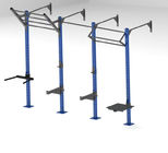 Crossfit Rig For Home Wall Mounted Crossfit Rig Crossfit Rigs And Racks supplier