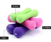 hand weights for weight loss, color hand weights for ladies exercise at home, hand weights for beginners supplier
