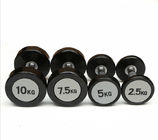commercial PU dumbbells, PU coated Round Head Fixed Dumbbells with Electroplated Non-Slip Handles supplier