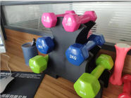 2KG Hex Dumbbell, Plastic Dip Dumbbell，Small Dumbbells for Slimming Fitness women yoga supplier