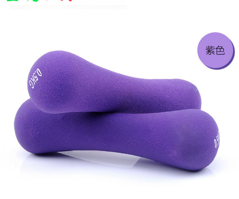 hand weights for weight loss, color hand weights for ladies exercise at home, hand weights for beginners supplier